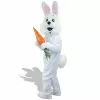 Eggert The Easter Bunny Costume