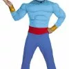 Genie Costume