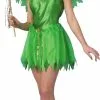 Fairy Tale Tinkerbell Adult Costume