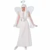 Adult Snow Angel Costume
