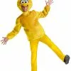 Adult Big Bird Costume