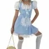 Teen Alice Costume