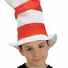 Child Cat In The Hat Hat