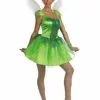 Tinker Bell Costume