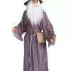 Adult Gandalf Costume