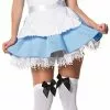 Alice In Wonderland Sexy Costume