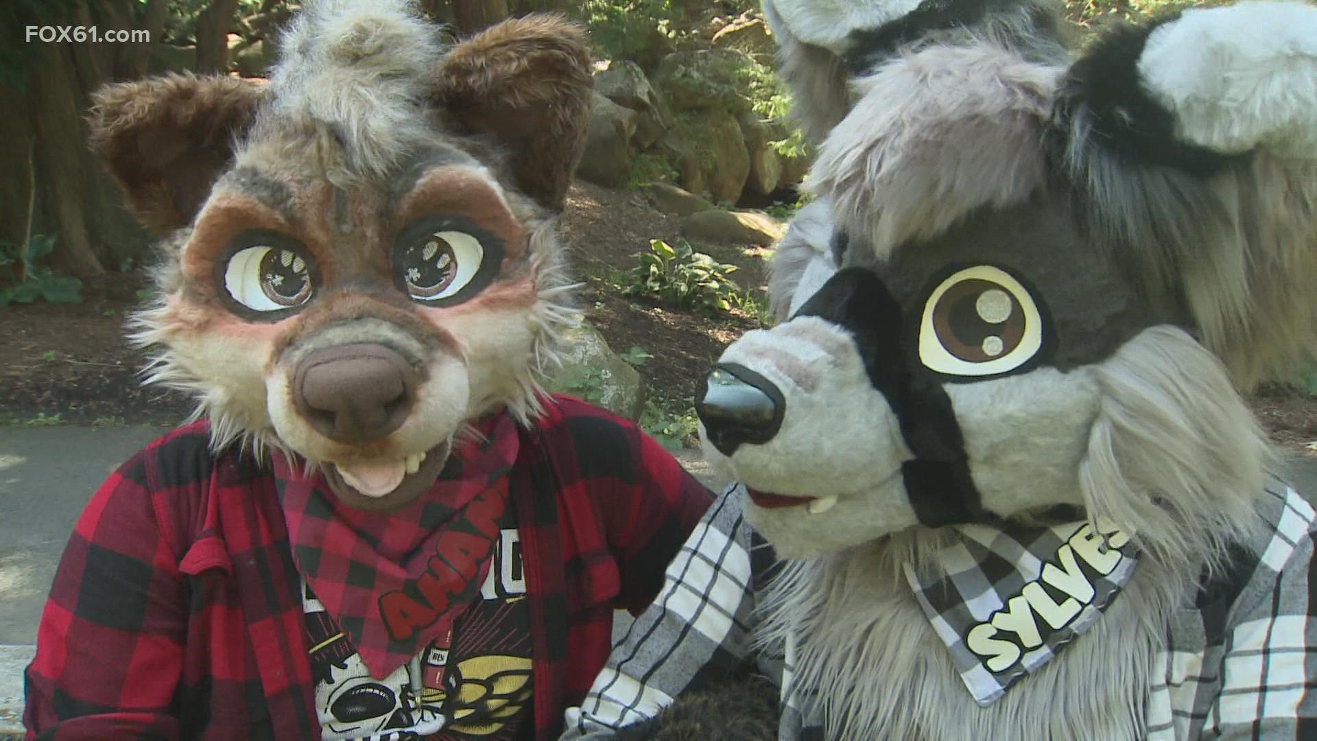 Funny Costumes Shop -Funny Costumes Shop 1ed9a66e 9aca 428b b773