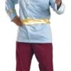 Prince Charming Costume