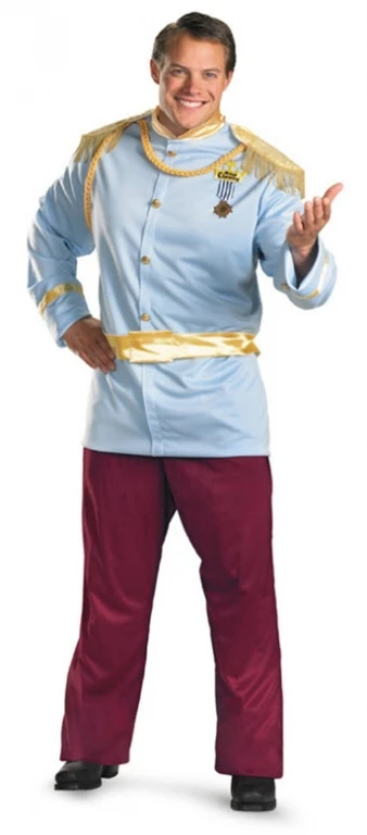 Prince Charming Costume 1 Prince Charming Costume