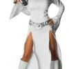 Princess Leia Costume