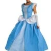 Cinderella Costume