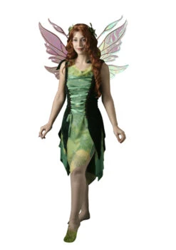 Forest Fairy Adult Costume