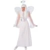Adult Snow Angel Costume