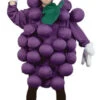 Adult Purple Grapes Costume
