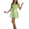 Tinker Bell Costume