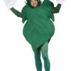 Adult Fig Leaf Costume