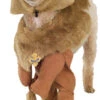Cowardly Lion Dog Costume