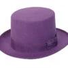 Purple Top Hat